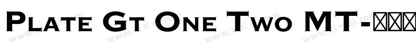 Plate Gt One Two MT字体转换